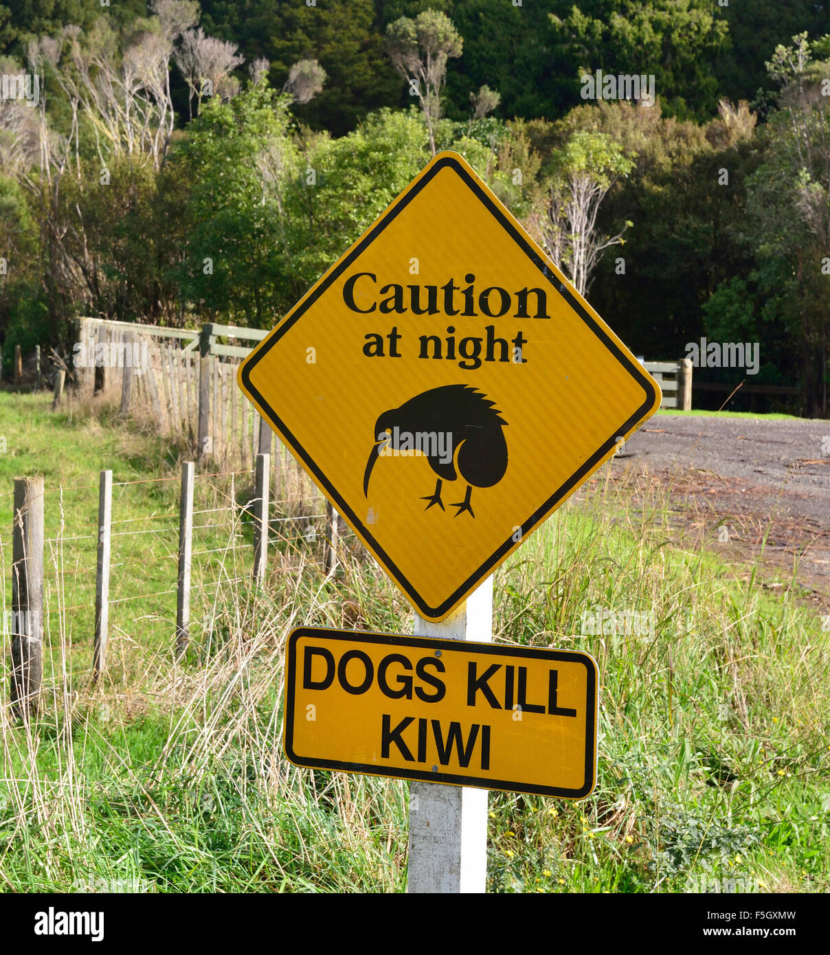 Caution road sign plus secondary advice for preventing deaths of Kiwi birds around their habitat in Trounson Kauri Park, North Island, New Zealand Stock Photo