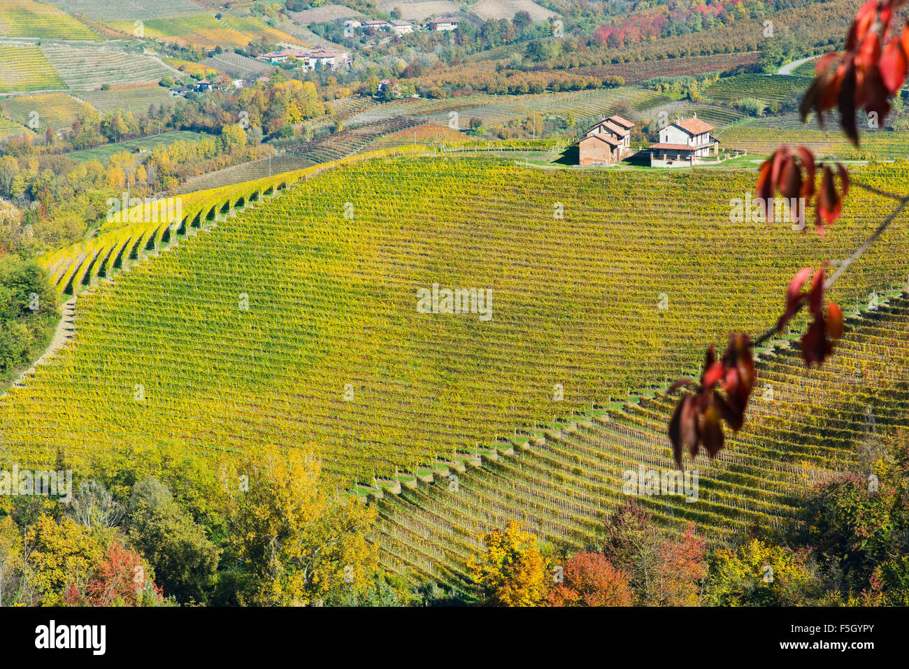 Langhe Stock Photos & Langhe Stock Images - Alamy