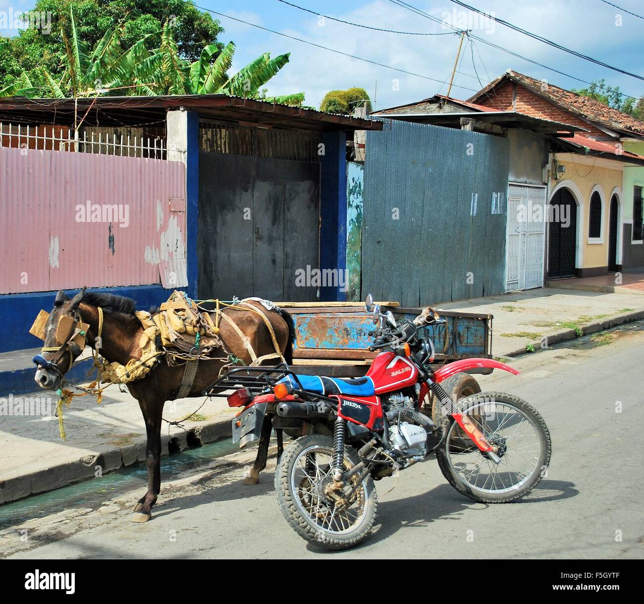 Managua, Nicaragua street scene Mule next to motorbike motorcycle Stock Photo