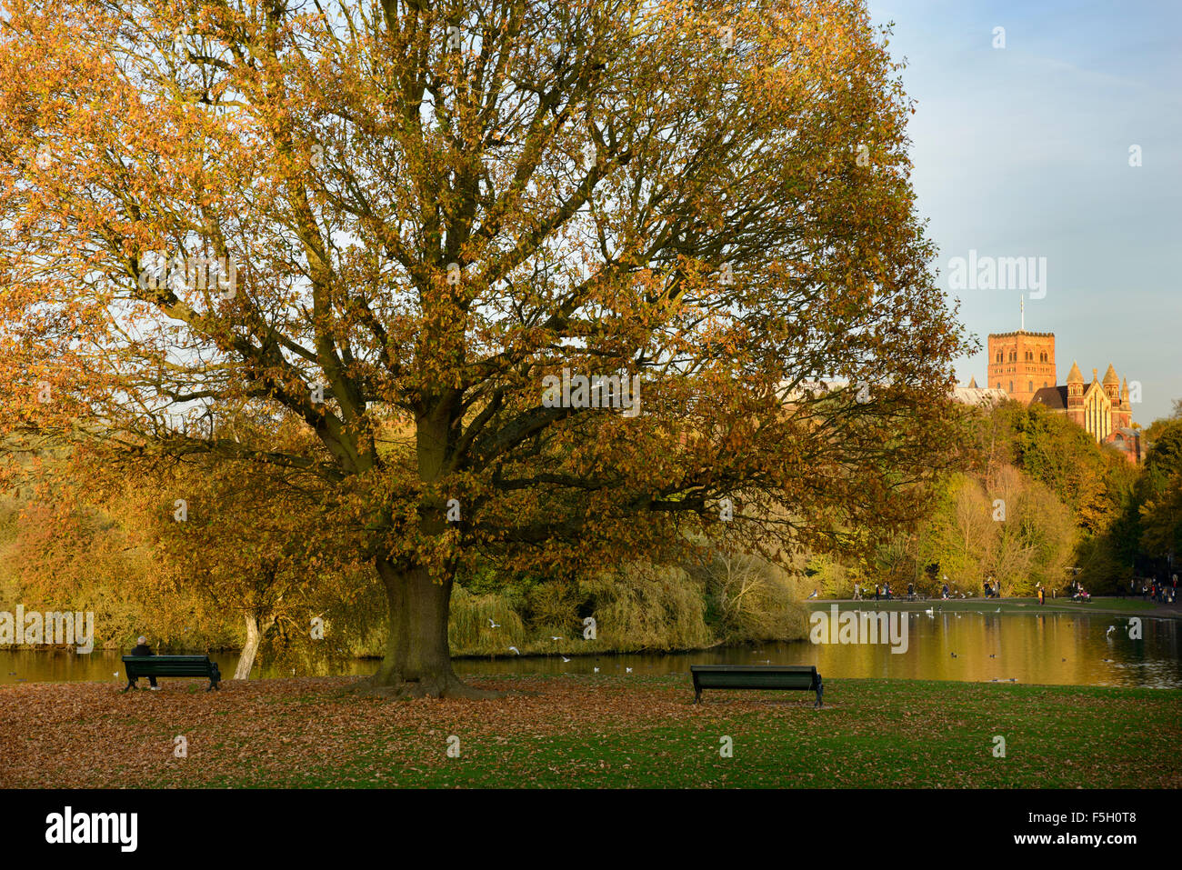 View of St Albans Cathedral in Autumn from Verulamium Park, St Albans, Hertfordshire, United Kingdom Stock Photo