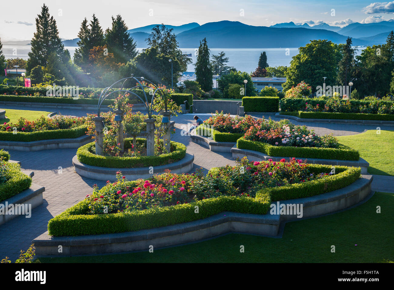 The Rose Garden, UBC, Vancouver, British Columbia, Canada Stock Photo