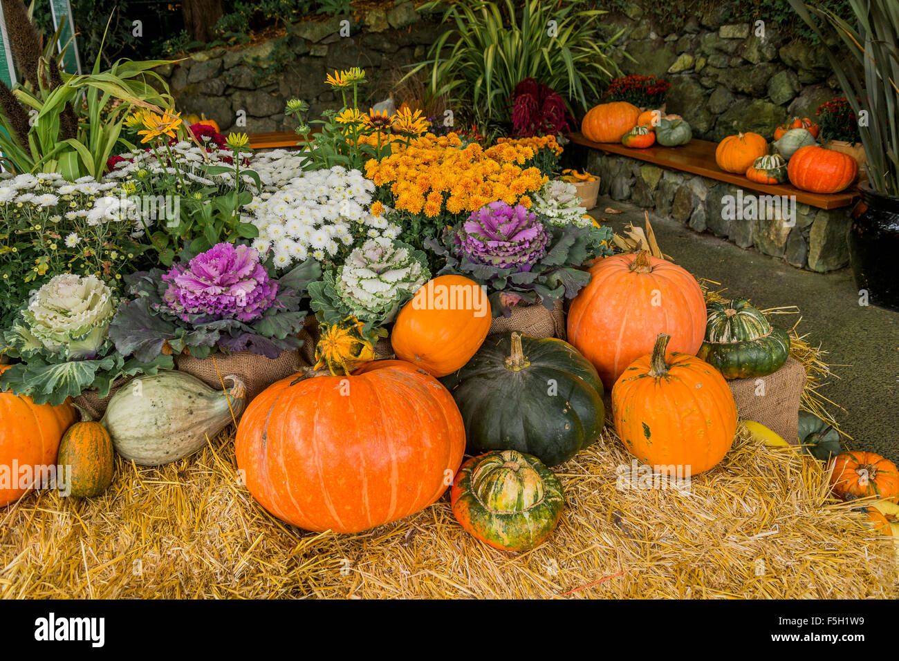 Fall display, Butchart Gardens, Brentwood Bay, Vancouver Island, British Columbia, Canada Stock Photo