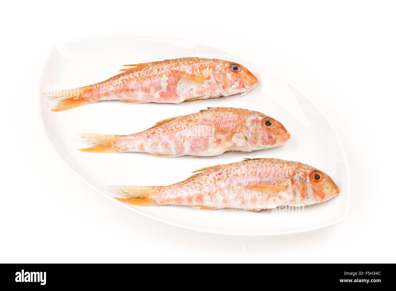 Three Red Mullets typical mediterranean seafood on a oval dish, isolated on white background. Raw food for italian specialty gou Stock Photo