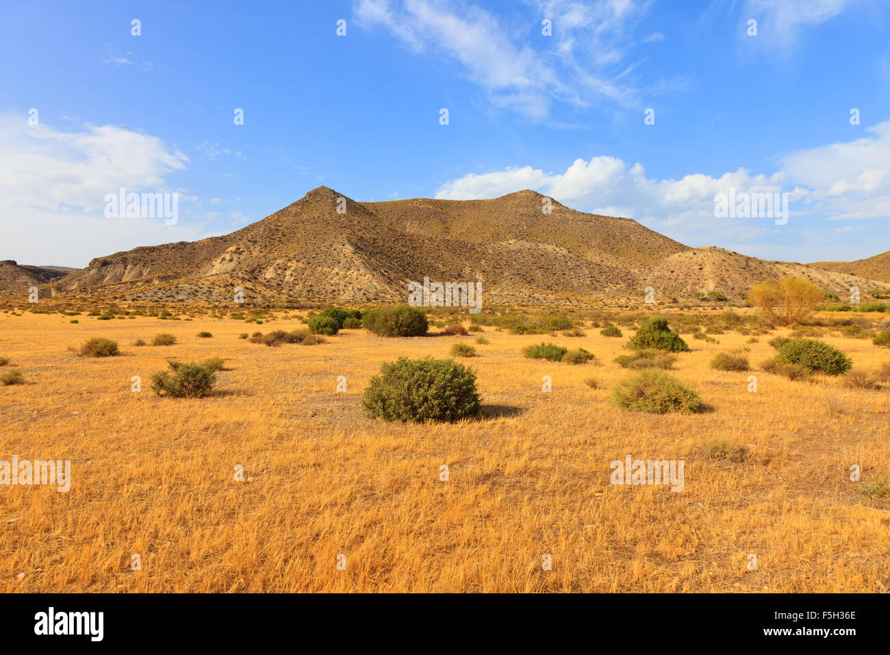 Tabernas desert, (in spanish desierto de tabernas) is Europe 's only desert. It is located near almeria, andalusia region, spain Stock Photo