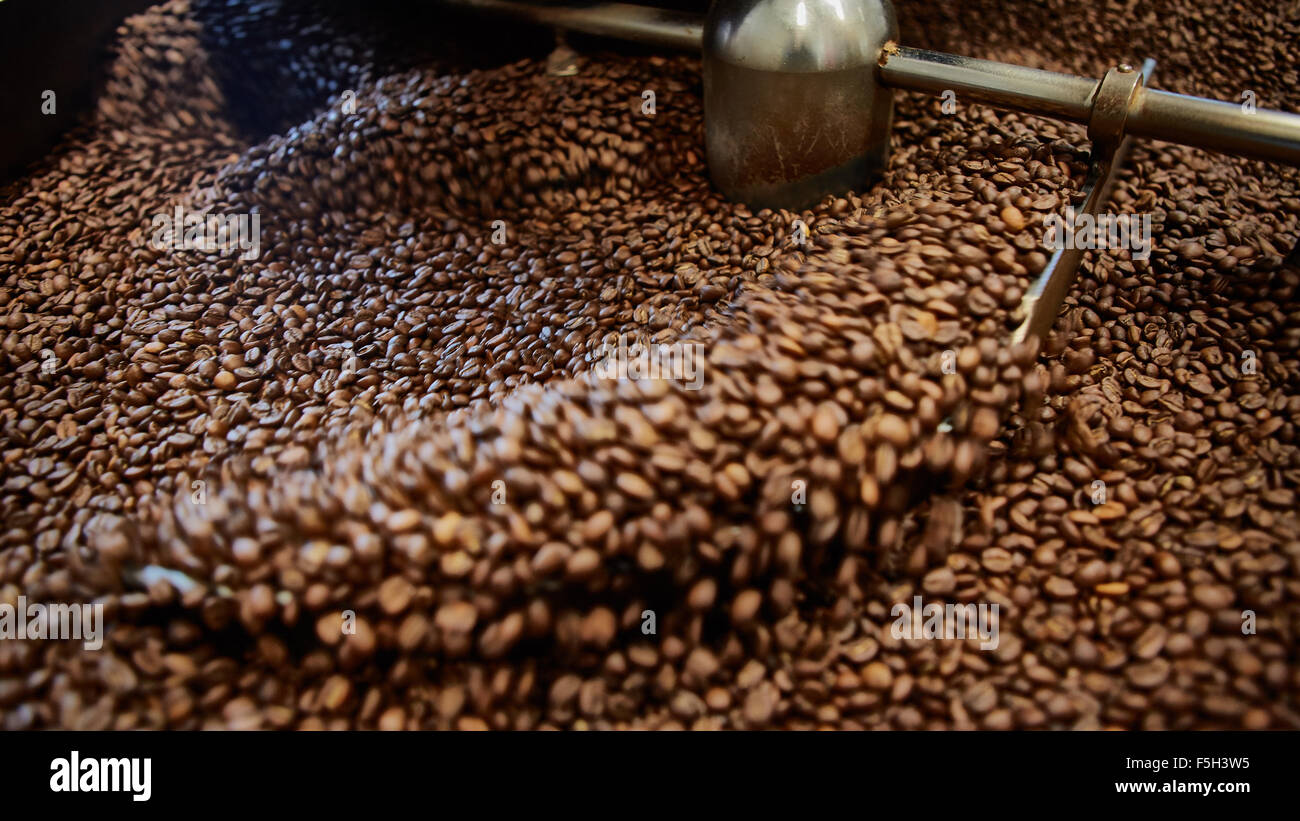 Freshly roasted coffee beans Stock Photo - Alamy