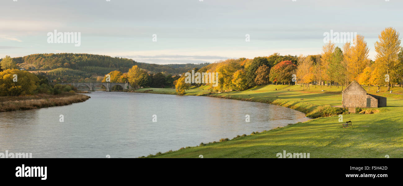 Autumn colours on the banks of the River Dee in Aberdeen Stock Photo
