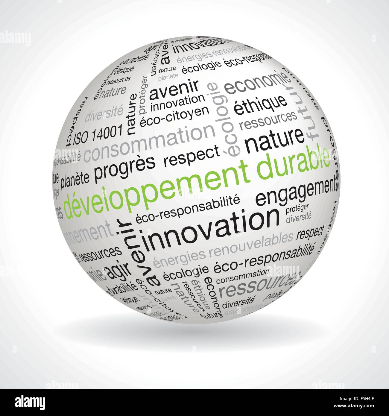 French sustainable development theme sphere with keywords full vector Stock Vector