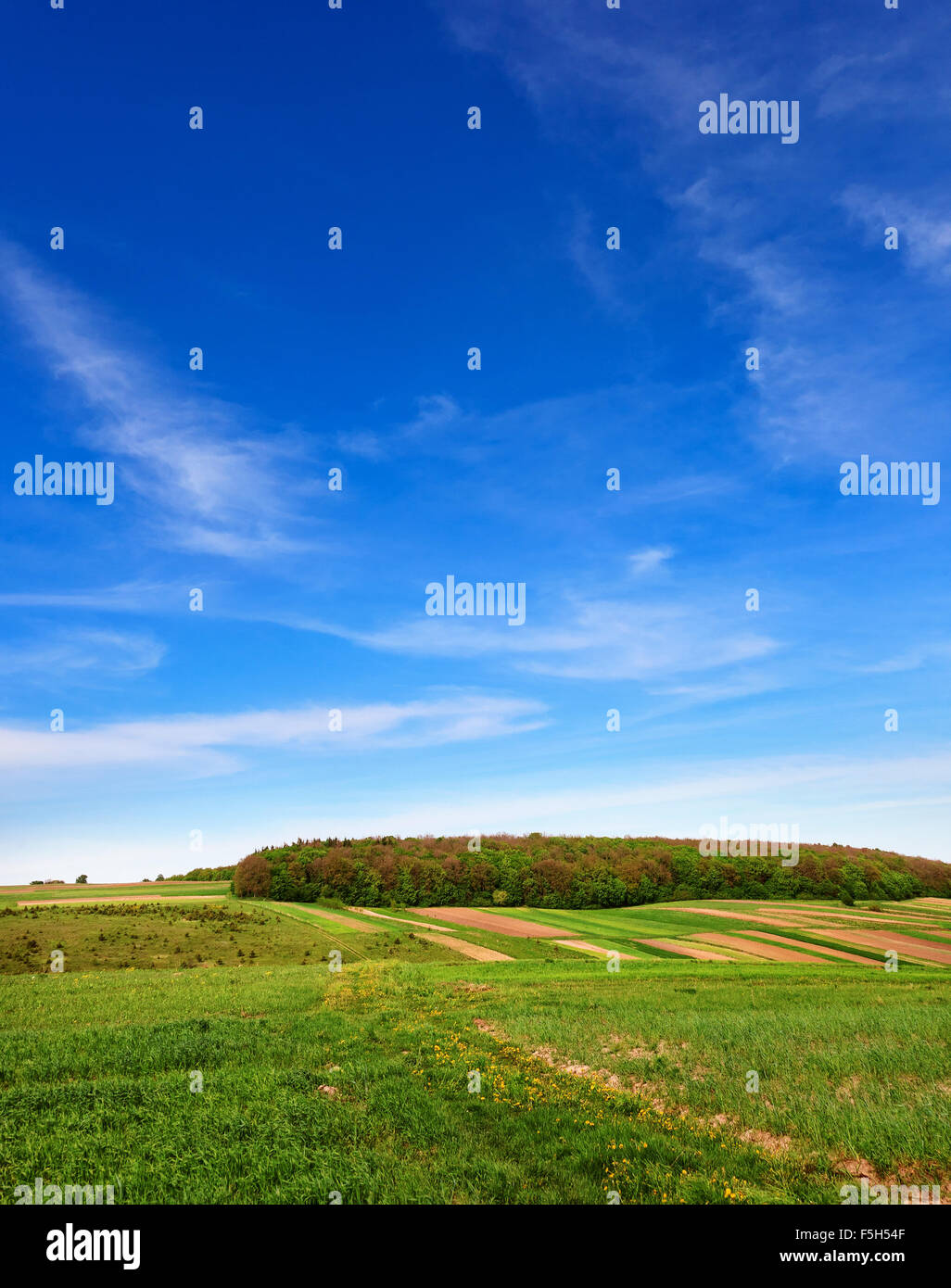 Field under blue sky Stock Photo - Alamy