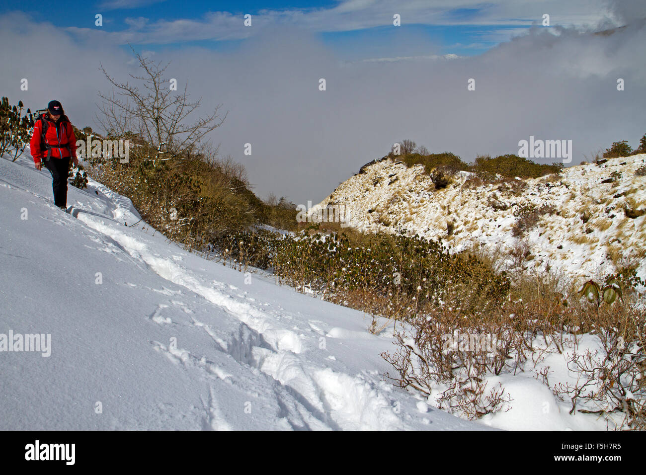 Trekking through snow in the Annapurnas Stock Photo