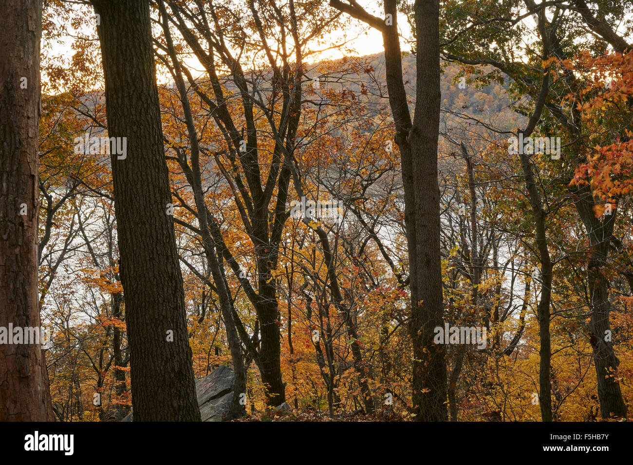 Susquehanna River in Fall foliage near Marietta Pennsylvania, USA Stock Photo