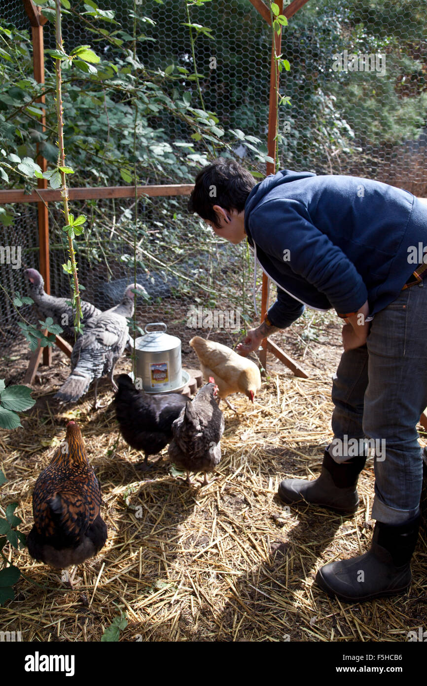 Side view of young woman bending over to feed her backyard chickens and turkeys. Stock Photo
