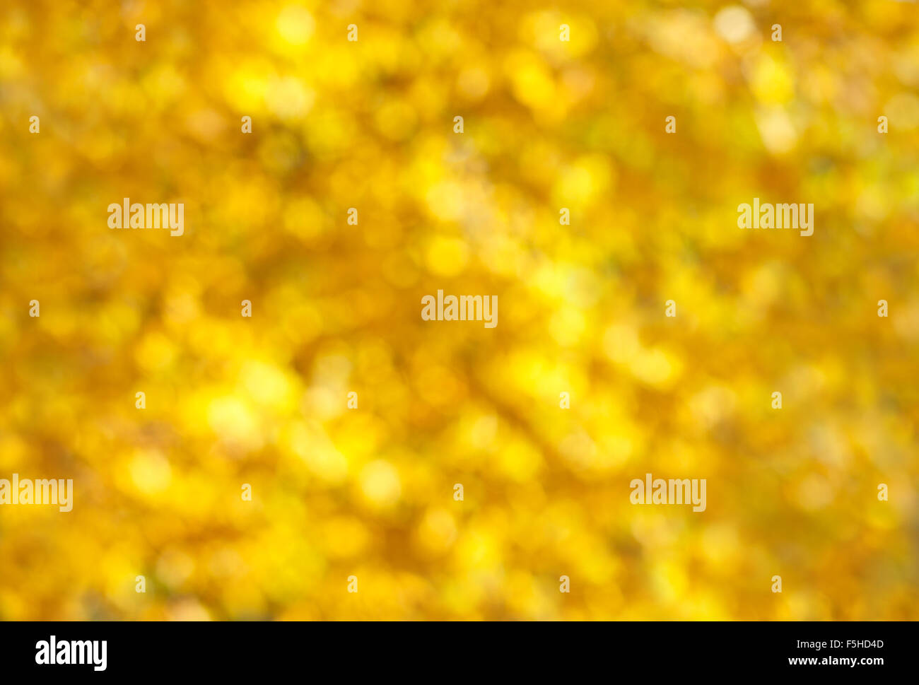Background nature abstract natural bokeh hi-res stock photography and ...