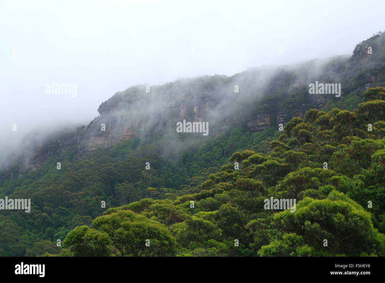 Fog and mist drape the Illawarra Escarpment near Wollongong at ...