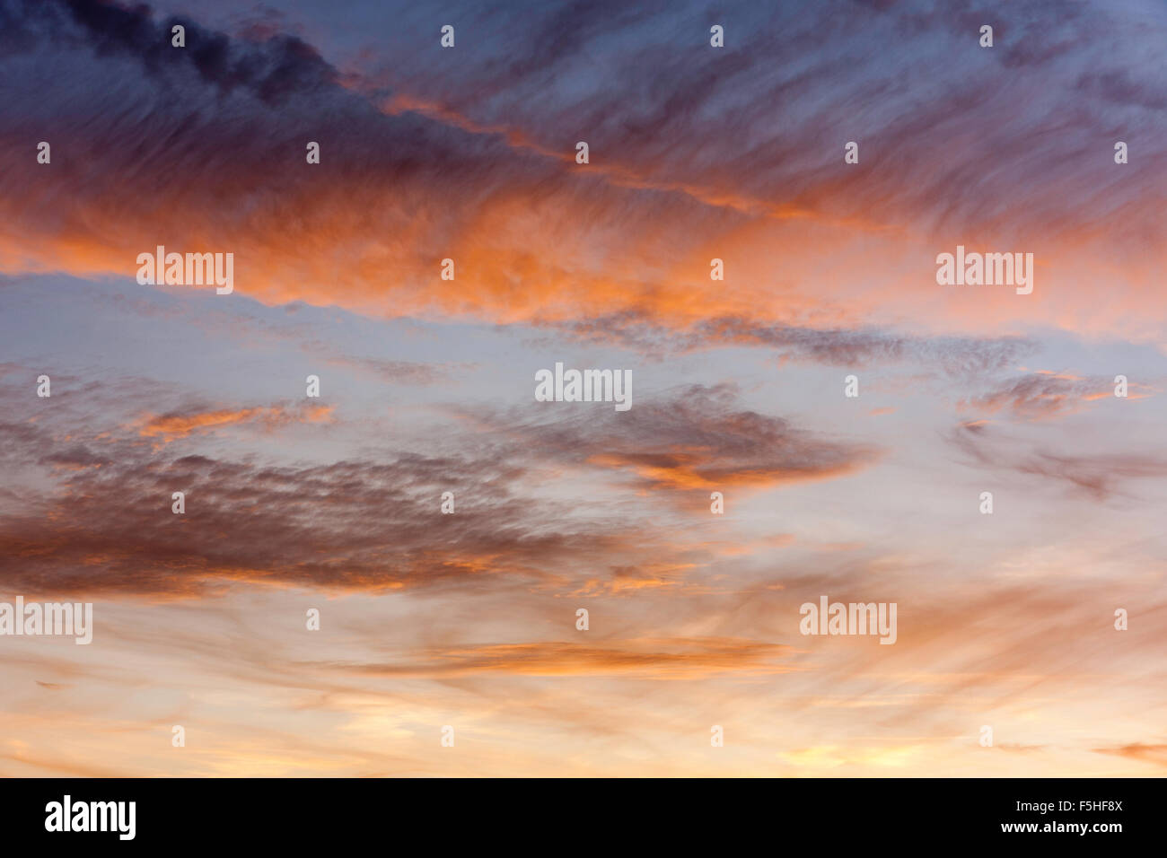 Light wispy clouds at sunset, lit from under, reflecting the colours of the setting sun, yellow and orange cloud with blue sky background Stock Photo