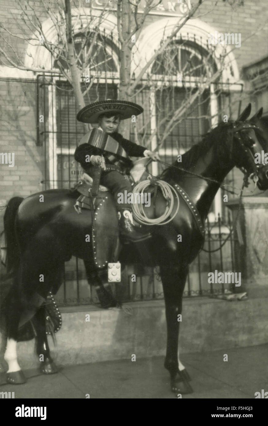 Dummy horse hires stock photography and images Alamy
