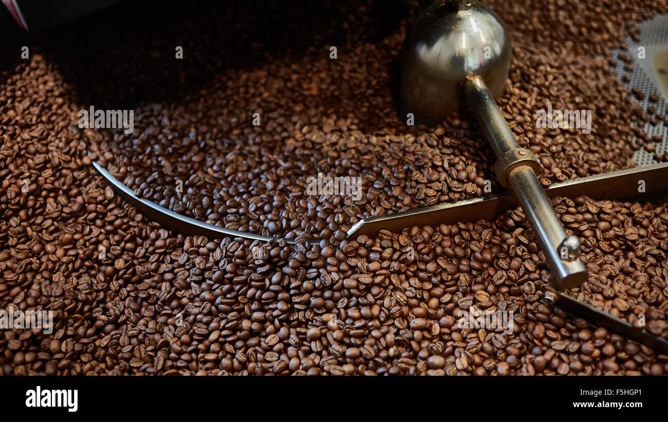 Freshly roasted coffee beans Stock Photo - Alamy