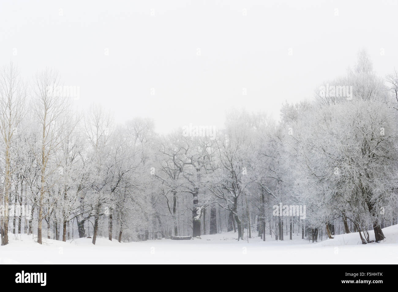 Stockholm Winter High Resolution Stock Photography and Images - Alamy