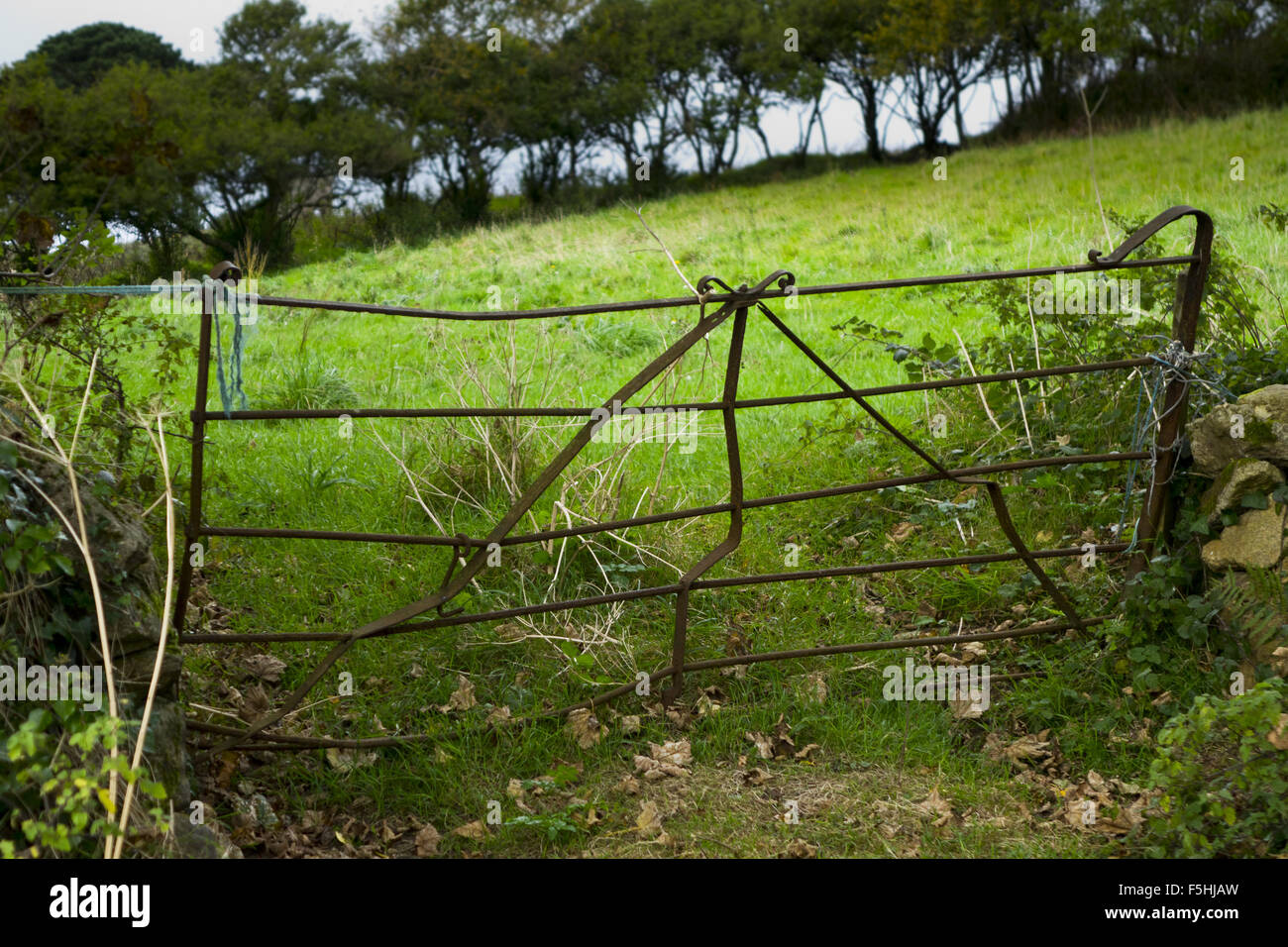 old metal farm gate Stock Photo - Alamy