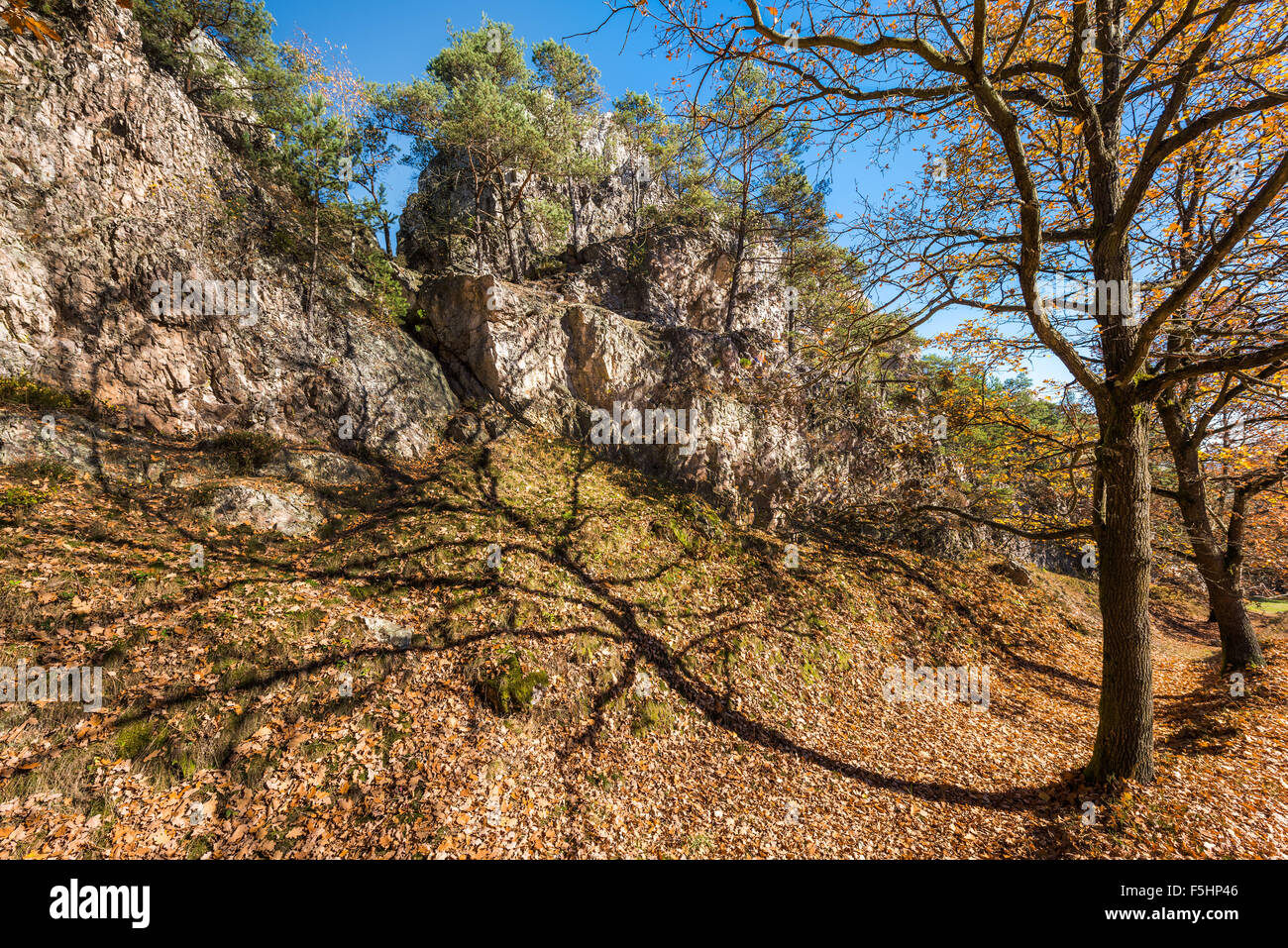 Autumnal Bayerischer Wald PFAHL in Viechtach, Bavarian Forest, hilltop, mountains, quartz, quartz rocks, way, autumn sun, copysp Stock Photo