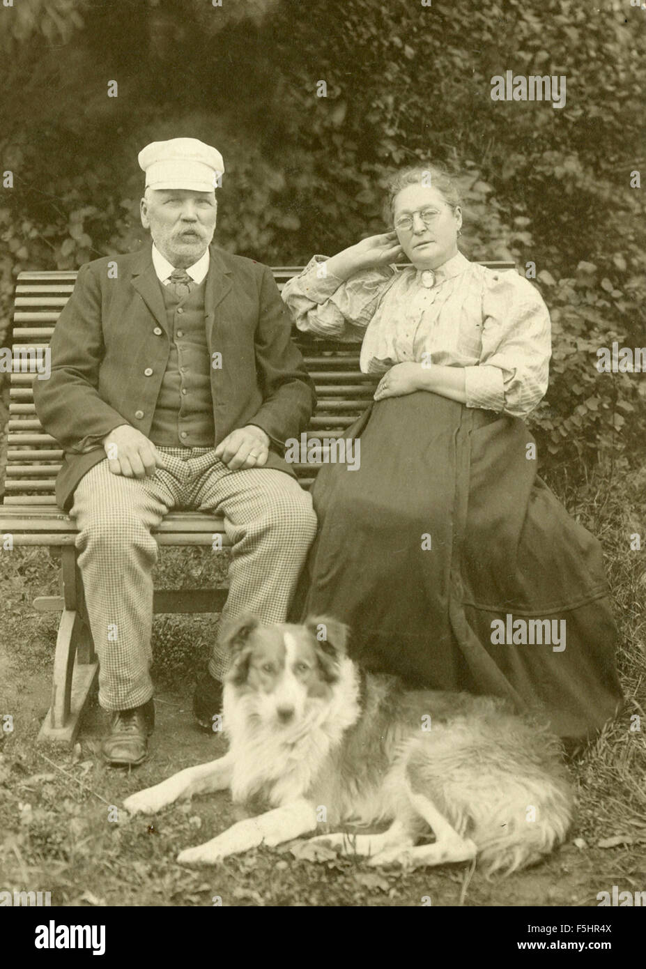 An elderly couple with a dog sitting on a bench, Sweden Stock Photo - Alamy