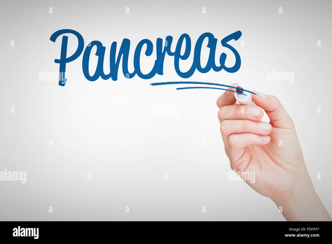 Pancreas against female hand holding black whiteboard marker Stock Photo