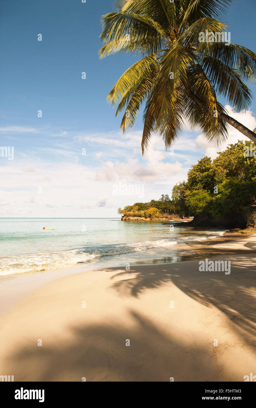 West Indies, Saint Lucia, Tropical beach by sea Stock Photo Alamy