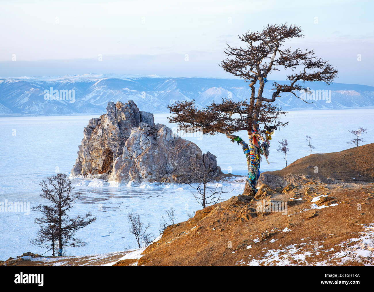 Lonely holy tree and rock Shamanka on cape Burkhan on Olkhon island in ...