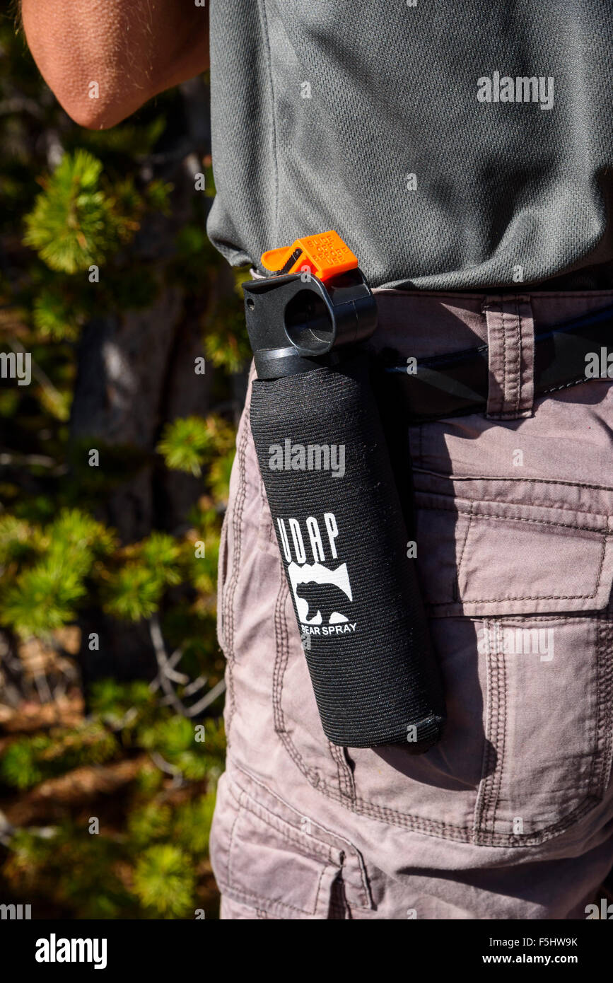 Hiker carrying bear spray, Yellowstone National Park, Wyoming, USA