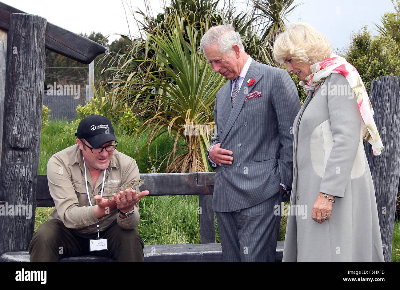 Dunedin, New Zealand - November 5, 2015 - Prince Charles, Prince of Wales, and Camilla, Duchess of Cornwall, look after a Tuatara during their visit to the Orokonui Ecosanctuary on November 5, 2015 in Dunedin, New Zealand. Charles and Camilla visit New Zealand from November 4 to November 10 attending events in Wellington, Dunedin, Nelson, Westport, Ngaruawahia, Auckland and New Plymouth. Credit:  dpa picture alliance/Alamy Live News Stock Photo