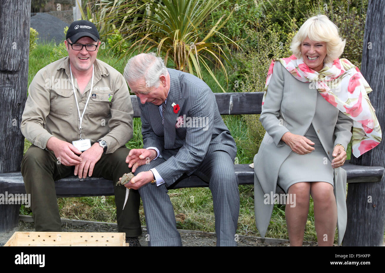 Dunedin, New Zealand - November 5, 2015 - Prince Charles, Prince of Wales, and Camilla, Duchess of Cornwall, look after a Tuatara during their visit to the Orokonui Ecosanctuary on November 5, 2015 in Dunedin, New Zealand. Charles and Camilla visit New Zealand from November 4 to November 10 attending events in Wellington, Dunedin, Nelson, Westport, Ngaruawahia, Auckland and New Plymouth. Credit:  dpa picture alliance/Alamy Live News Stock Photo