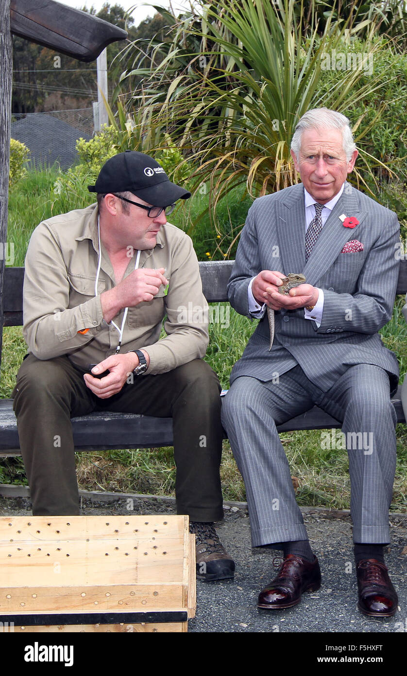 Dunedin, New Zealand - November 5, 2015 - Prince Charles, Prince of Wales, looks after a Tuatara during his visit to the Orokonui Ecosanctuary on November 5, 2015 in Dunedin, New Zealand. Charles and Camilla visit New Zealand from November 4 to November 10 attending events in Wellington, Dunedin, Nelson, Westport, Ngaruawahia, Auckland and New Plymouth. Credit:  dpa picture alliance/Alamy Live News Stock Photo