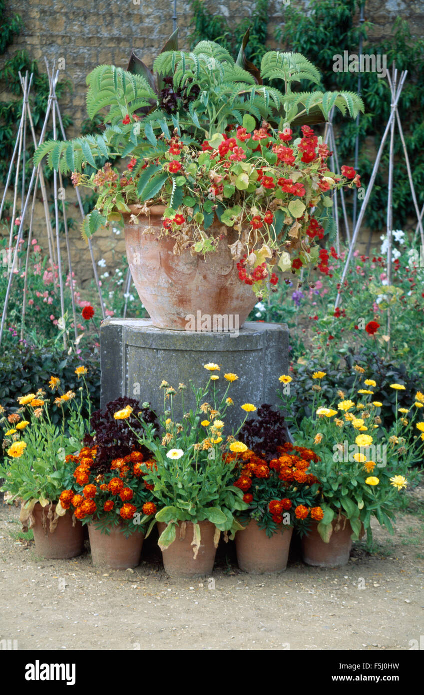 Pots of marigolds and tagetes below a large terracotta pot on a plinth with red nasturtiums Stock Photo