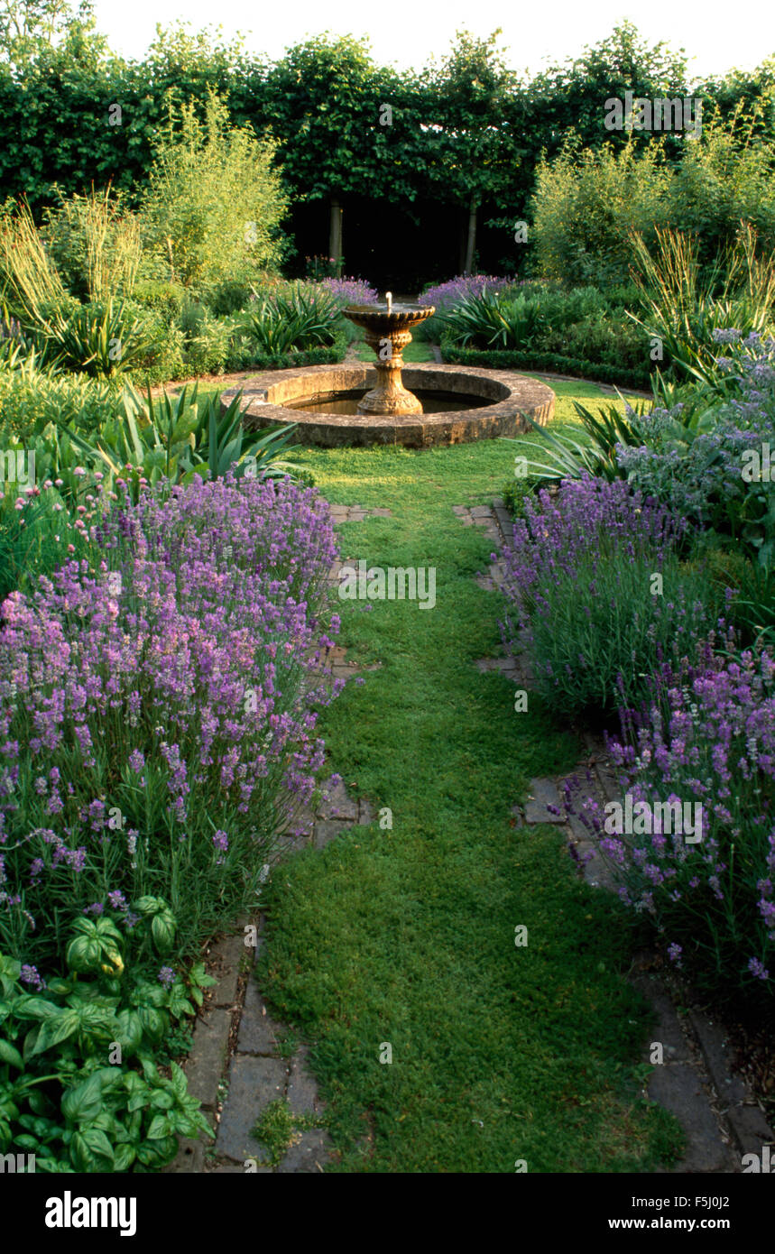 Lavender Hidcote in borders either side of grass path to circular stone pool and fountain Stock Photo