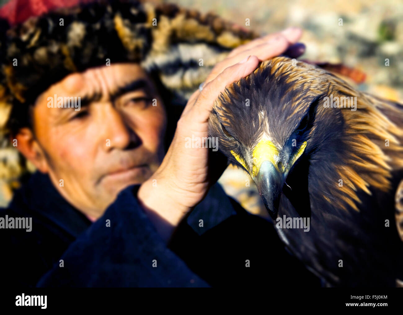Mongolian Man Trained Eagle Kazakh Olgei Western Concept Stock Photo