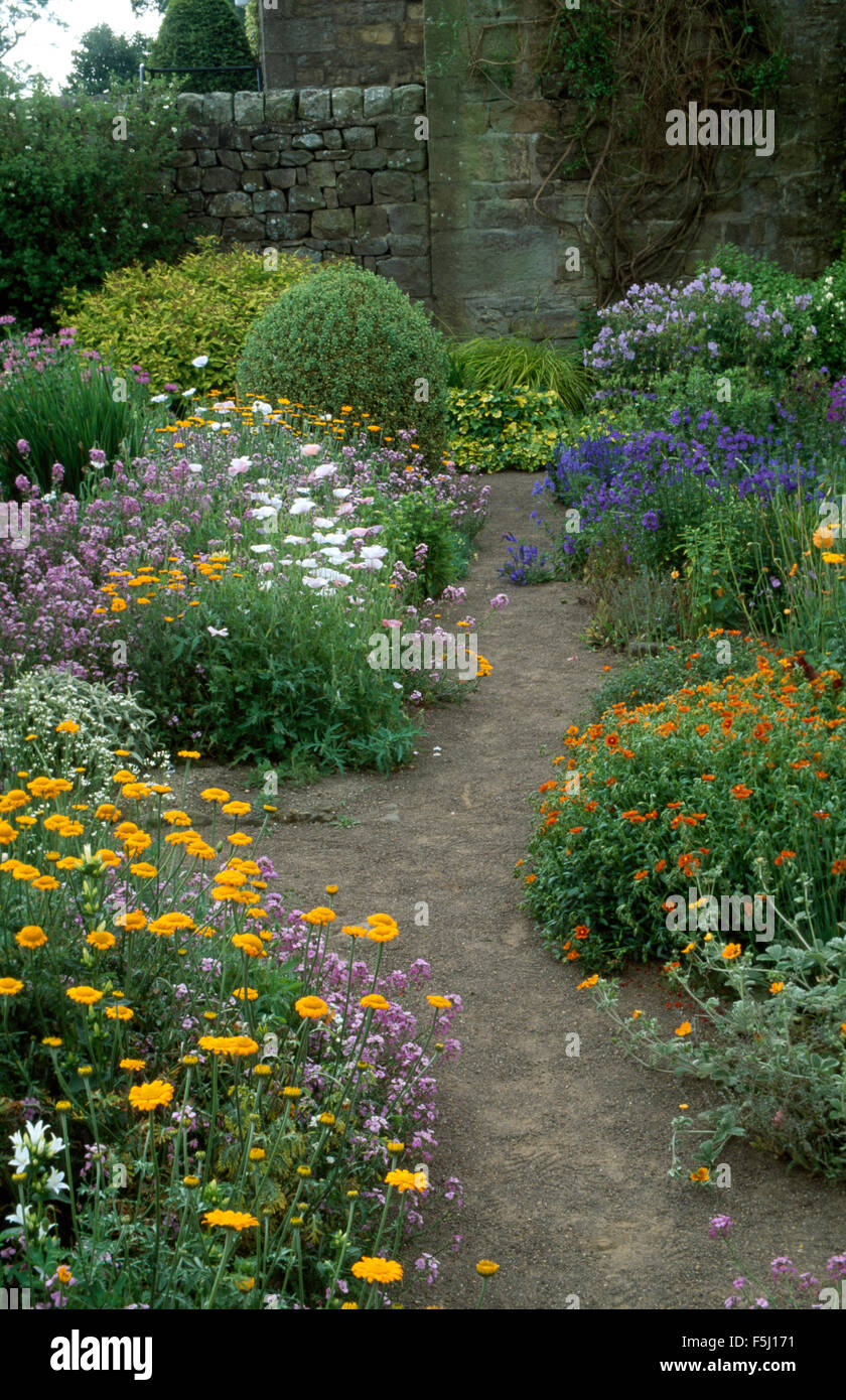 Marigolds and white poppies growing in borders either side of path in walled country garden Stock Photo