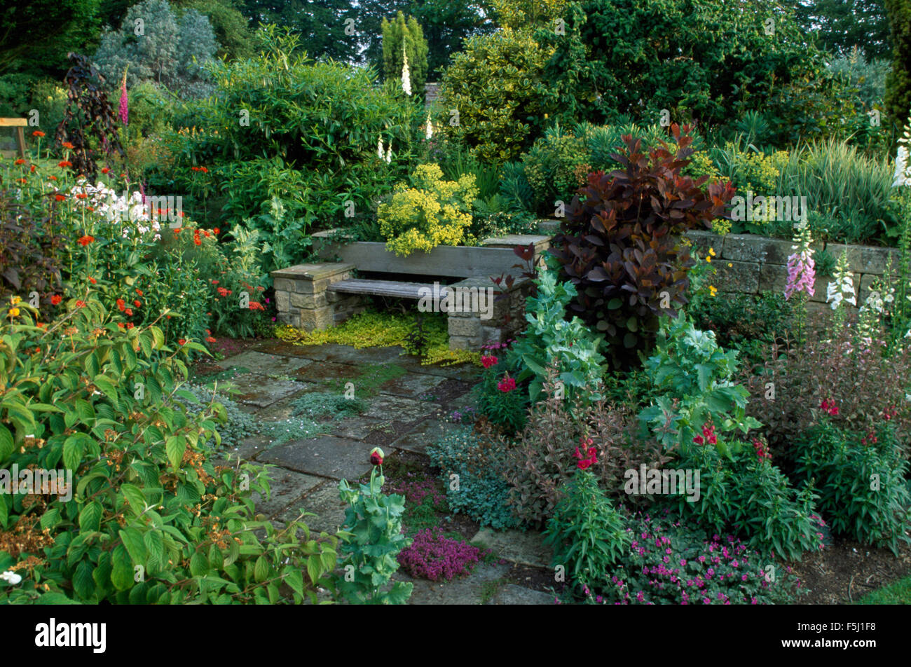 Foxgloves and Antirrhinums on small paved terrace with a stone and wood seat Stock Photo