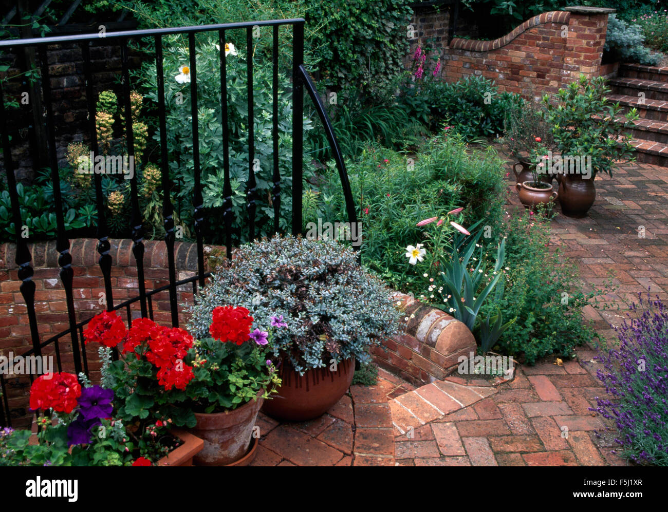 Red geraniums and a small hebe in terracotta pots against iron railings on brick paving in a town garden Stock Photo