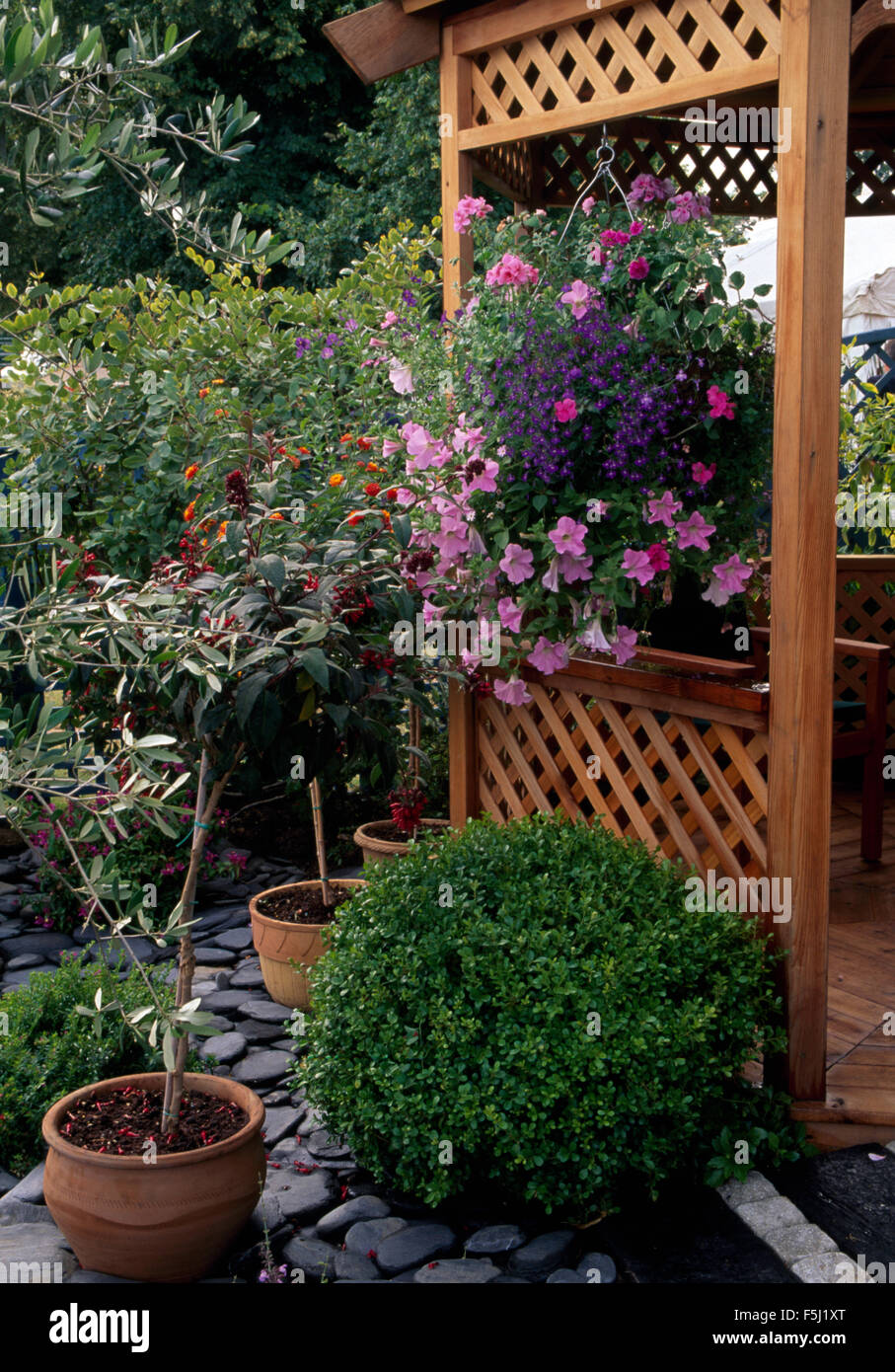 Trellis with hanging basket hires stock photography and images Alamy