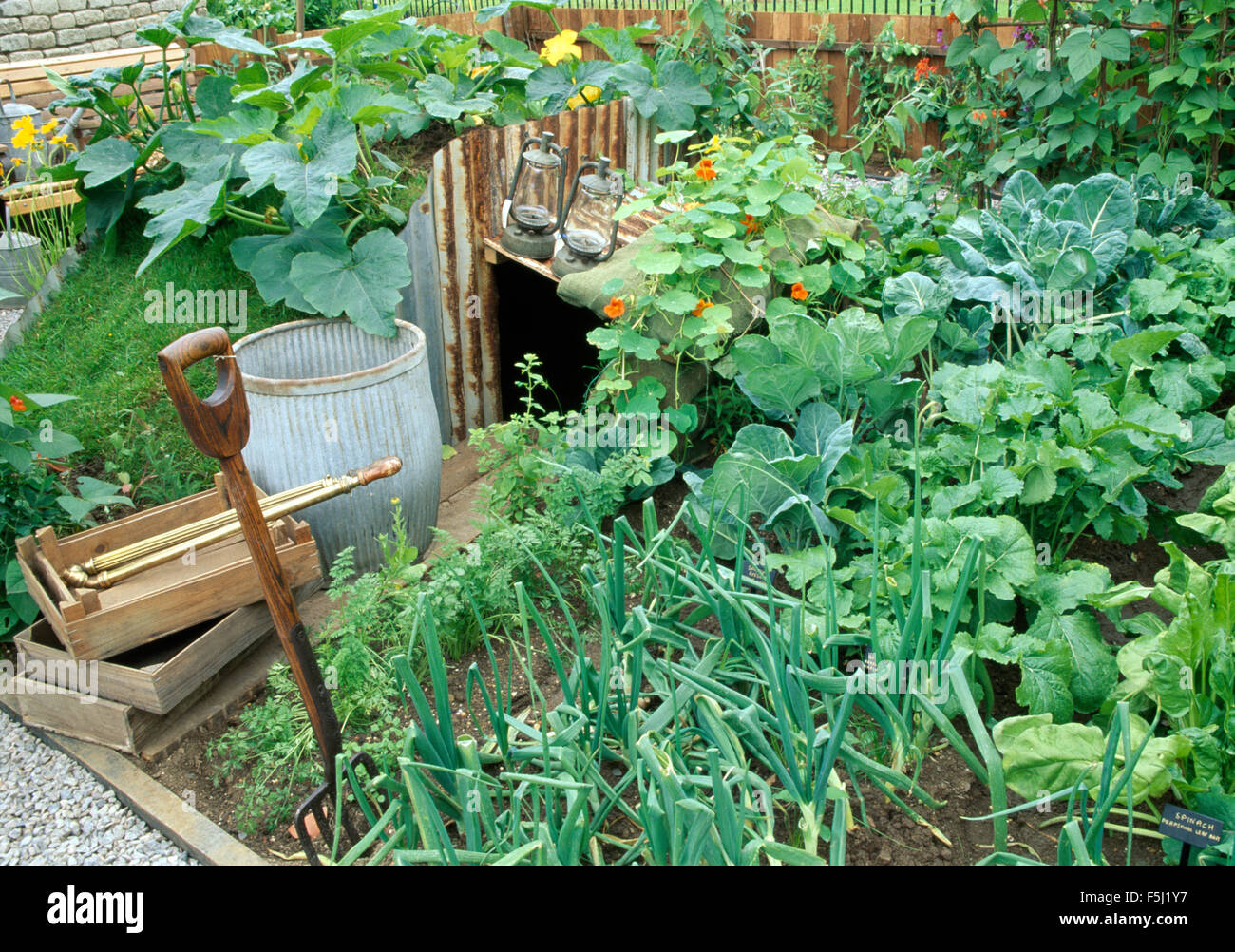 Old wooden boxes and a vintage dolly tub in a vegetable garden with onions and cabbages growing with orange nasturtiums Stock Photo