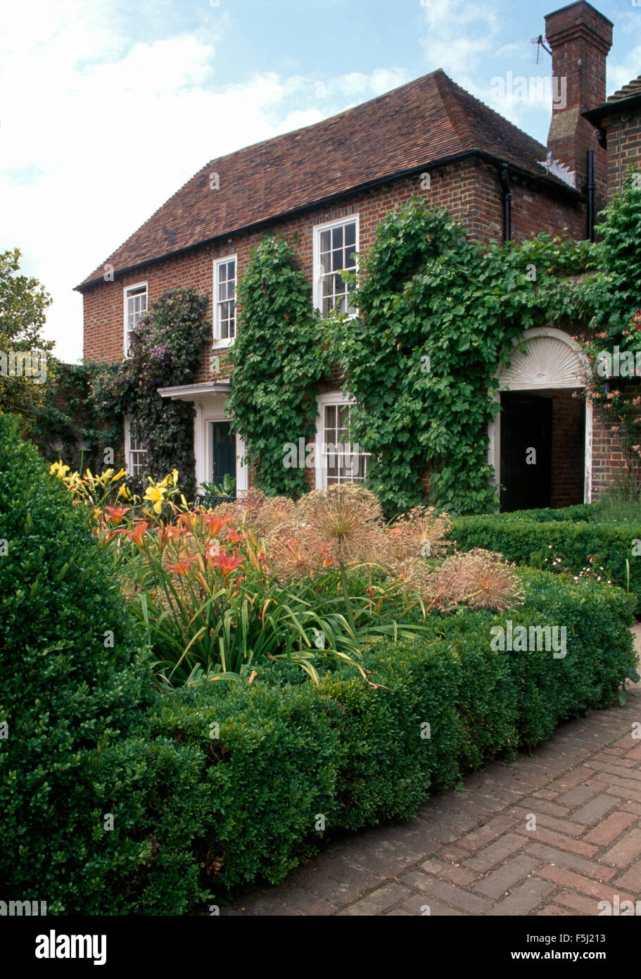 Low box hedge surrounding garden bed with day lilies and allium sead