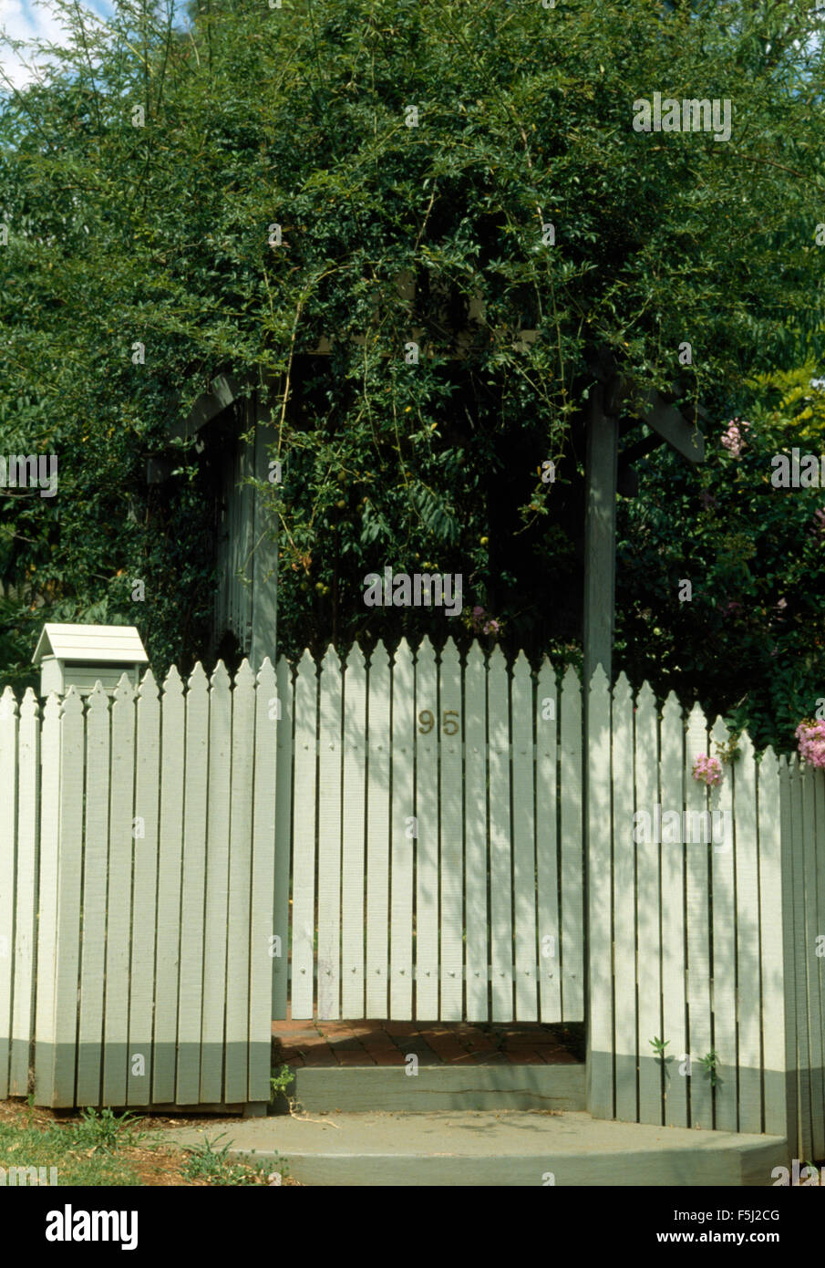 White wooden picket fence in a front garden Stock Photo