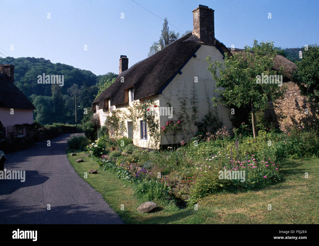 Exterior of a white country cottage with a thatched roof and summer flowers in the front garden Stock Photo