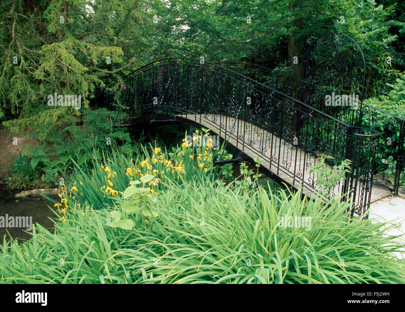 Wrought iron railings on bridge over a stream in  large country garden with yellow irises Stock Photo