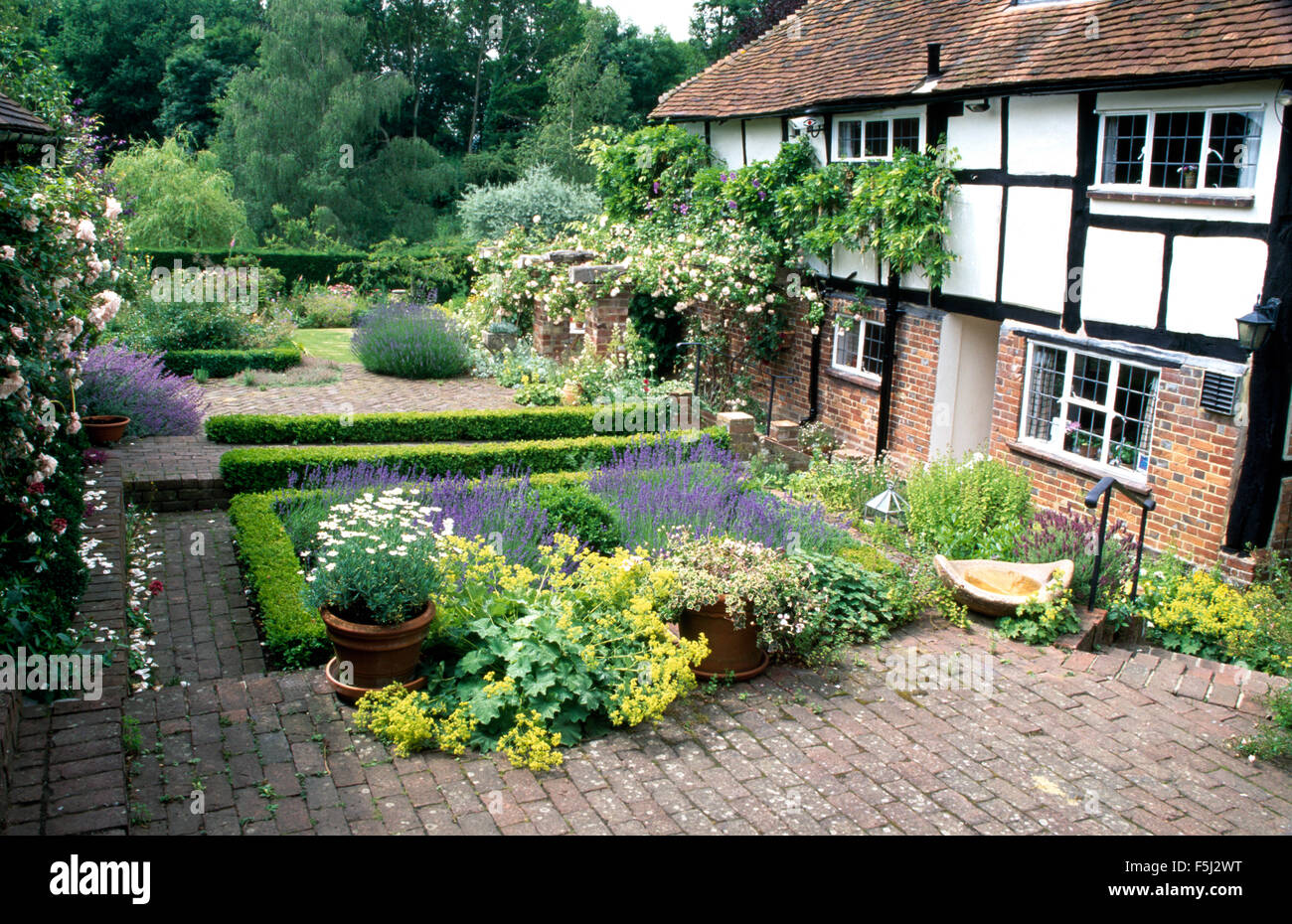 Small formal knot garden with box edging around lavender front of a country cottage with brick paving Stock Photo