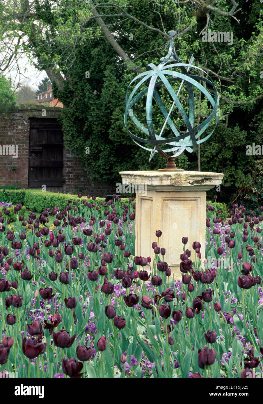 Large armillary on stone plinth in border of  'Queen of the Night' tulips in a large country garden in spring Stock Photo