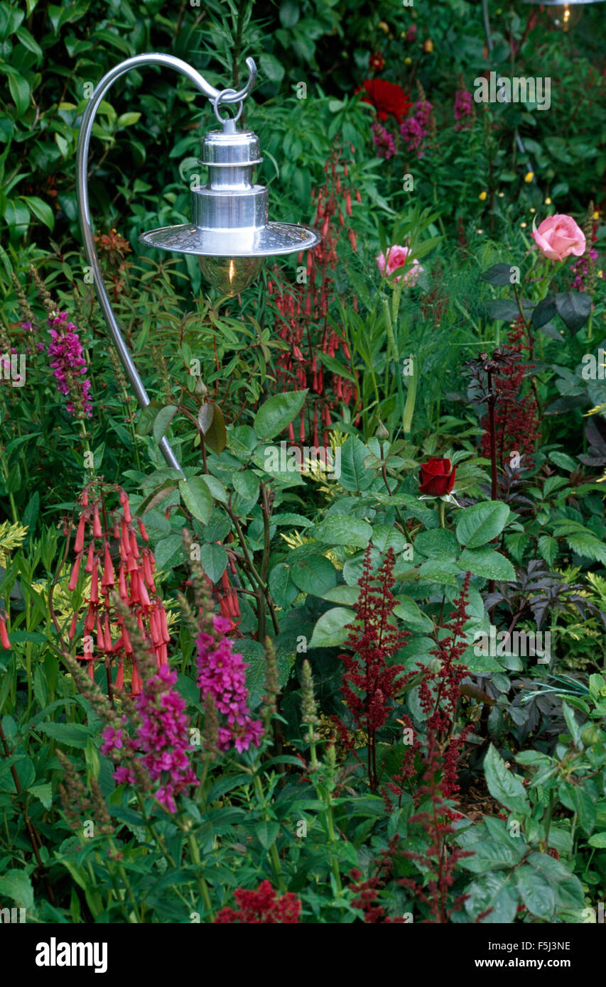 Metal candle lantern in a garden border with pink roses and liatris and phygelius Stock Photo