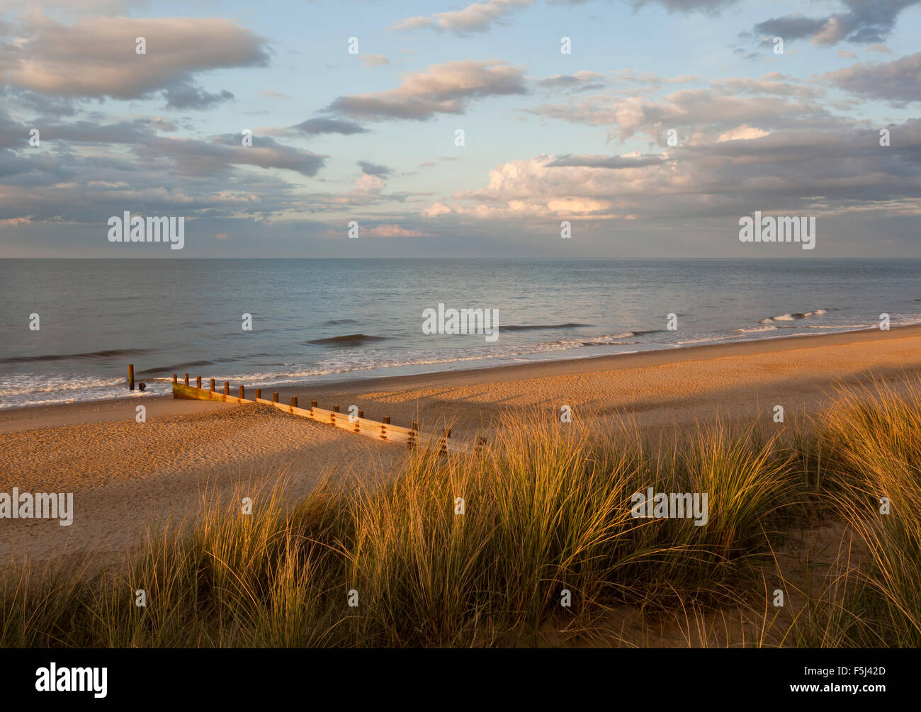 Horsey Beach, Norfolk England UK Stock Photo