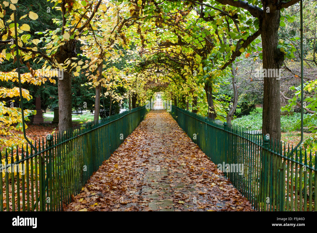 Bird Cage Walk, Clifton, Bristol. Stock Photo