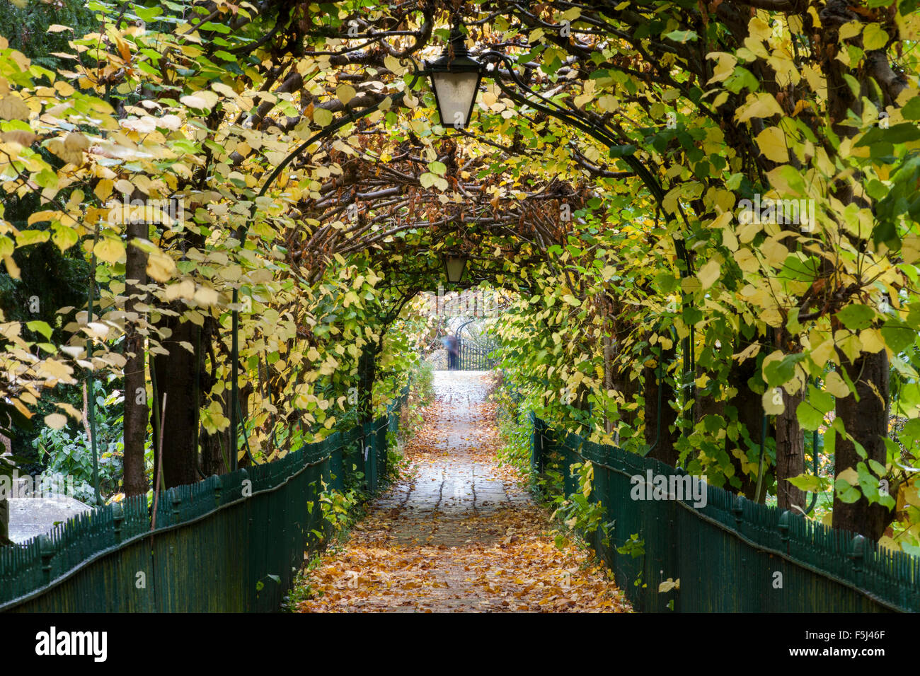 Bird Cage Walk, Clifton, Bristol Stock Photo Alamy
