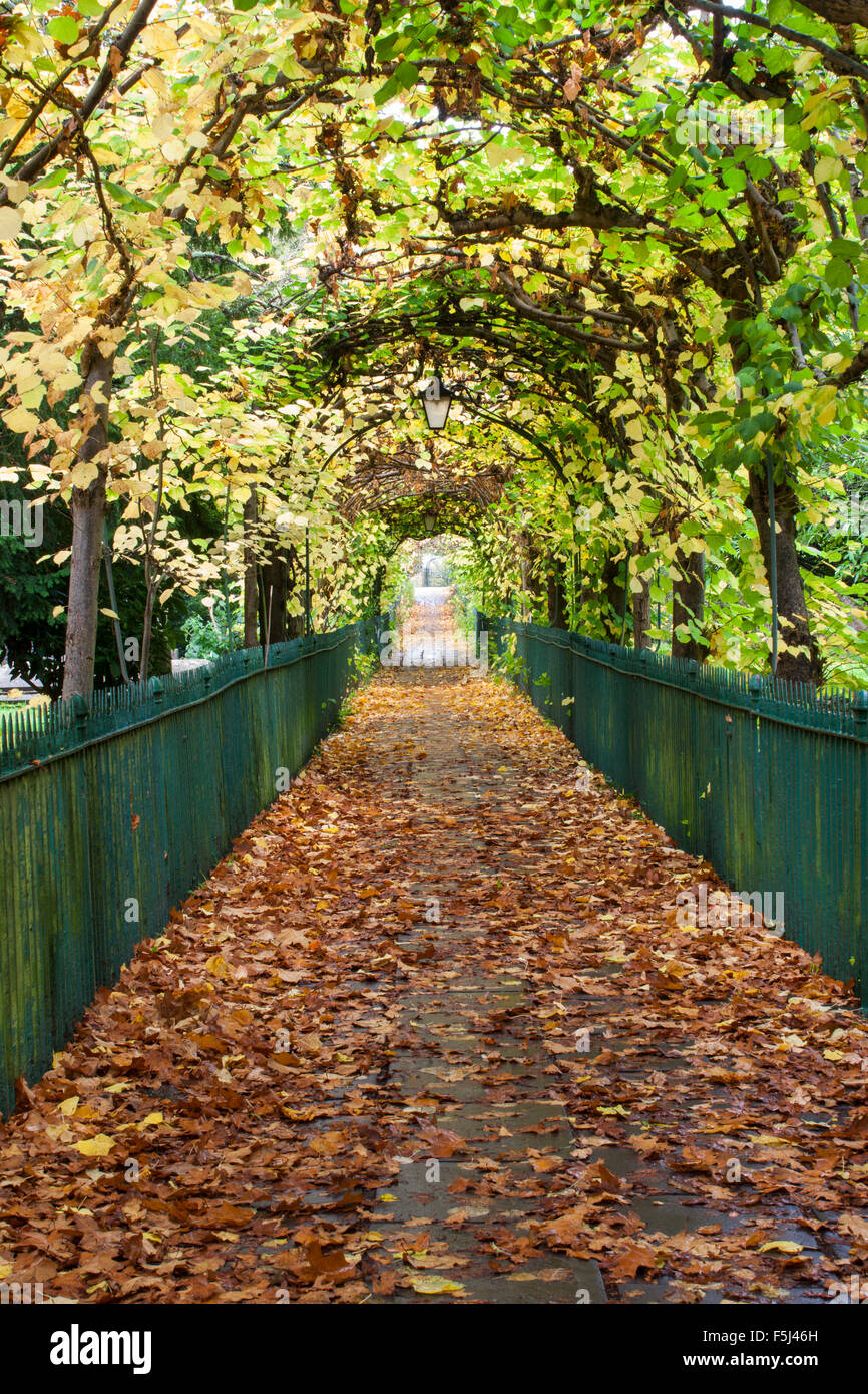 Bird Cage Walk, Clifton, Bristol Stock Photo Alamy